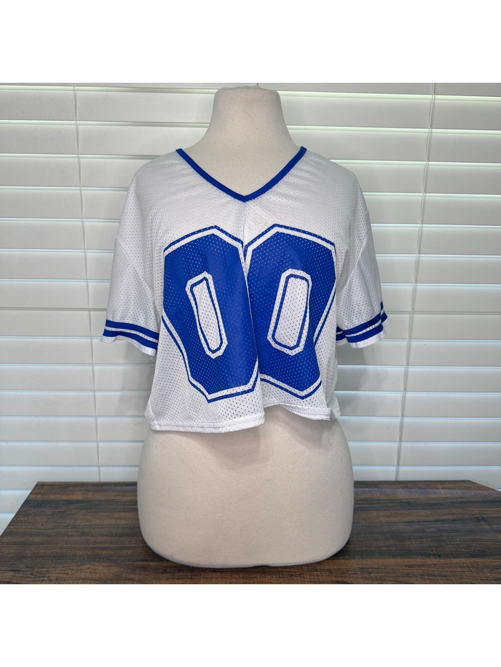 Spirit Halloween White and Blue Mesh Crop Top Jersey Large